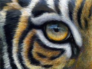 When it comes to Security we all need 'The Eye of the Tiger'